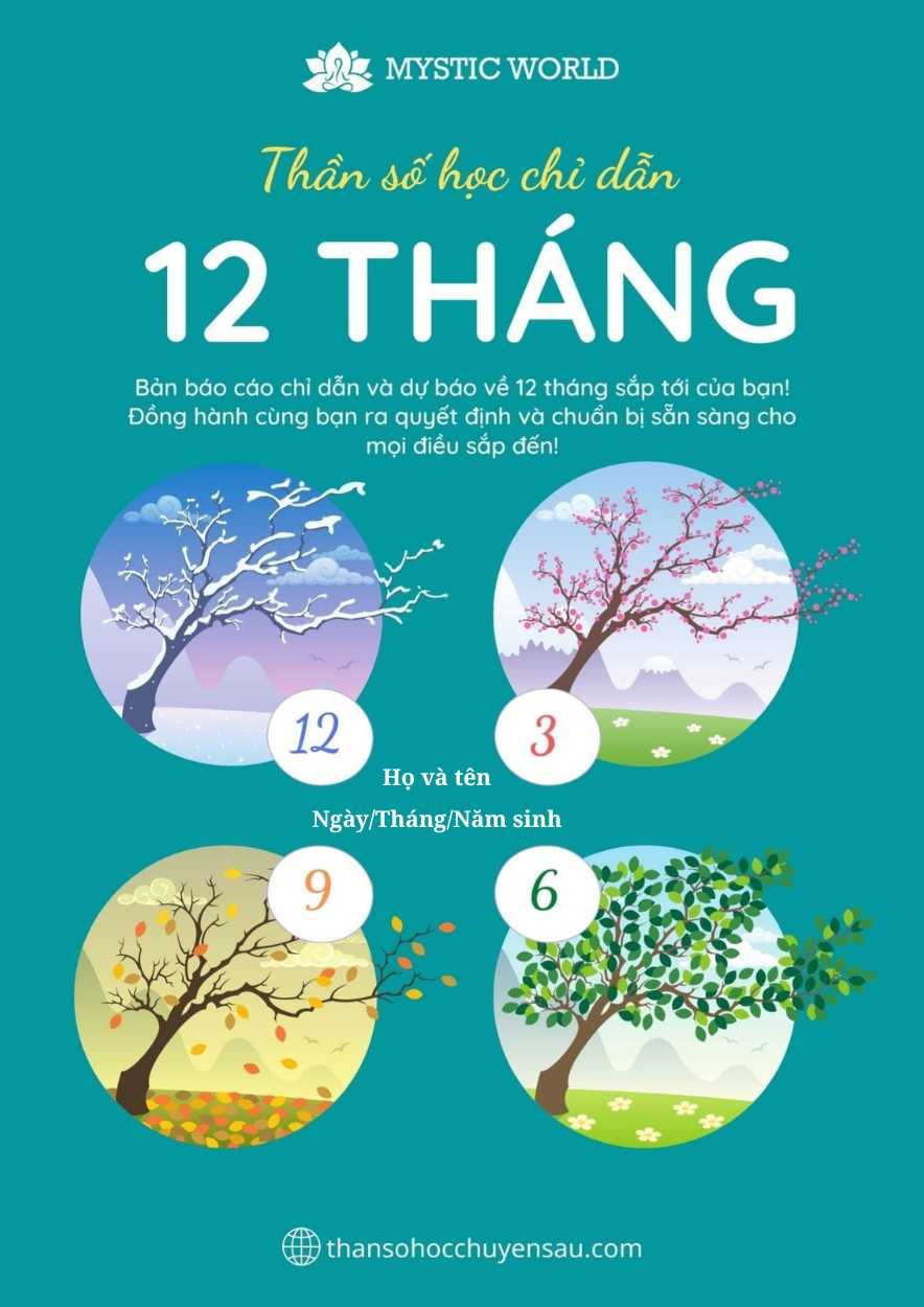 Dự báo và chỉ dẫn 12 tháng